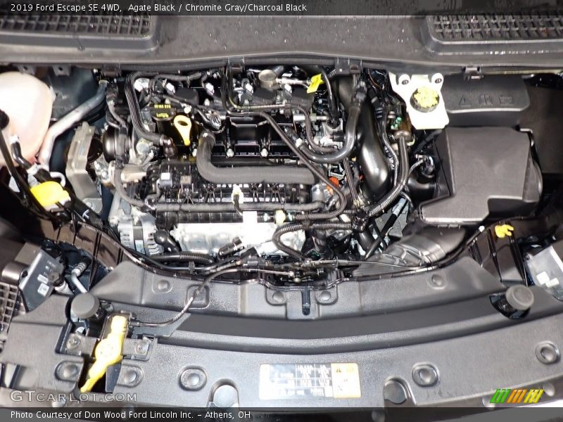 Agate Black / Chromite Gray/Charcoal Black 2019 Ford Escape SE 4WD