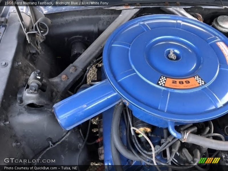 Midnight Blue / Blue/White Pony 1966 Ford Mustang Fastback