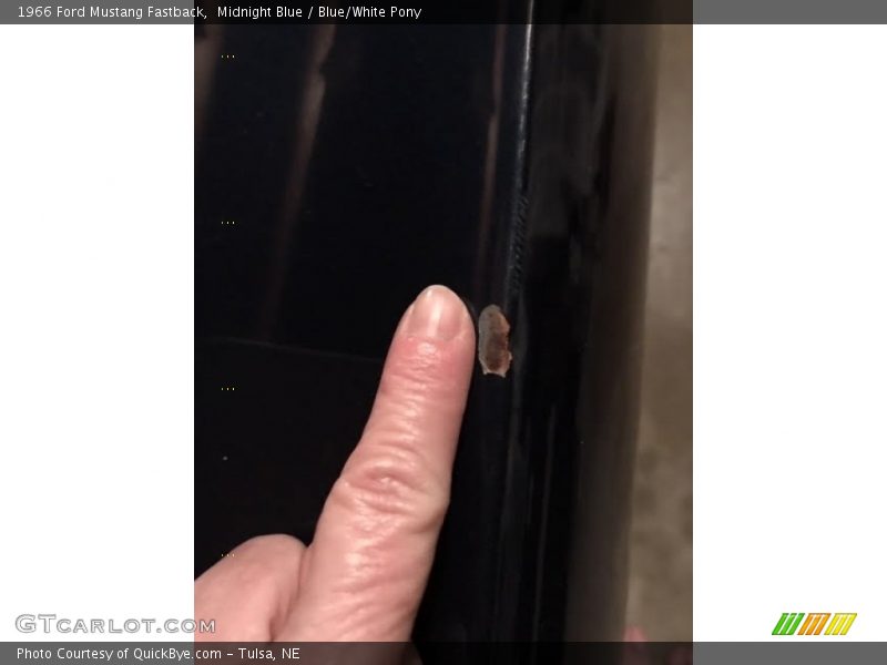 Midnight Blue / Blue/White Pony 1966 Ford Mustang Fastback
