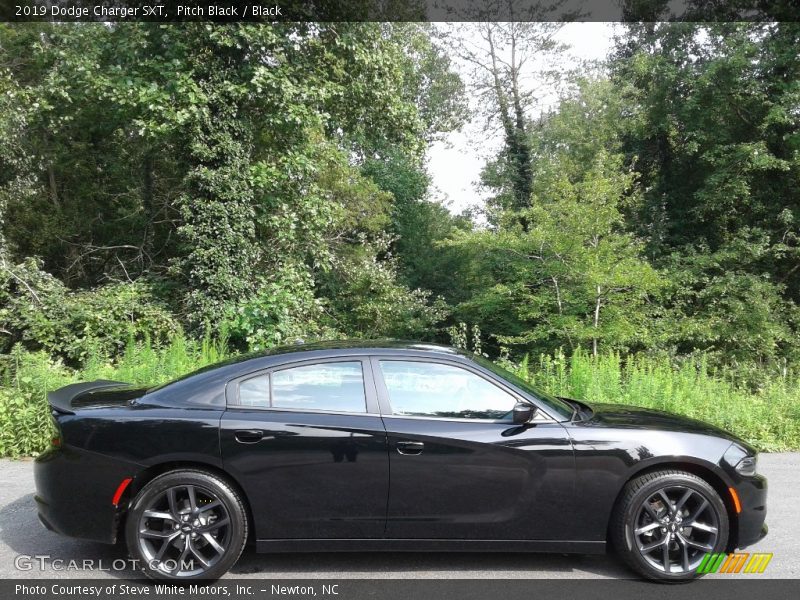  2019 Charger SXT Pitch Black