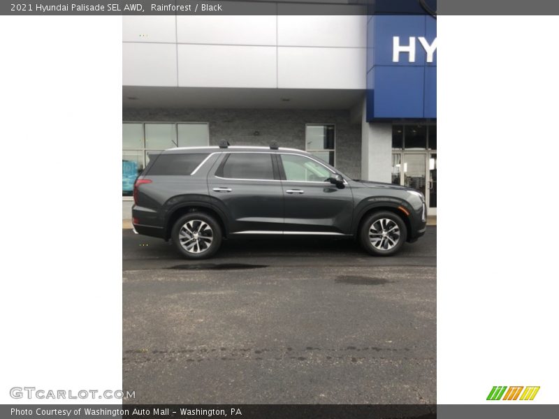 Rainforest / Black 2021 Hyundai Palisade SEL AWD
