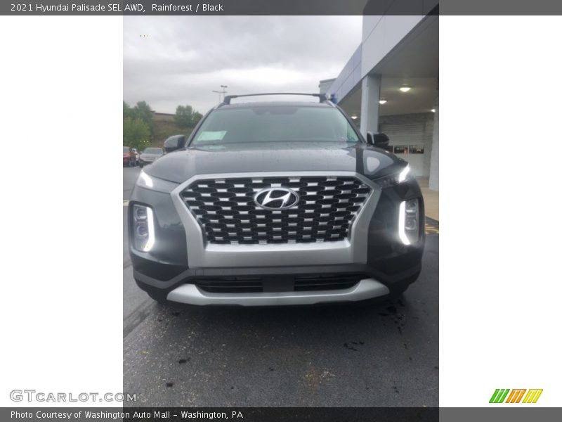 Rainforest / Black 2021 Hyundai Palisade SEL AWD