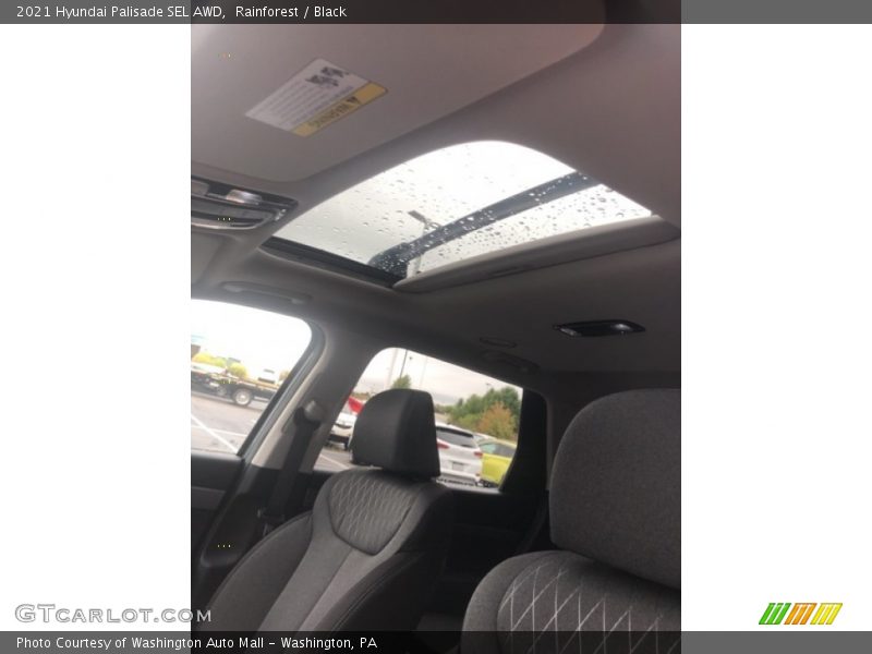 Rainforest / Black 2021 Hyundai Palisade SEL AWD