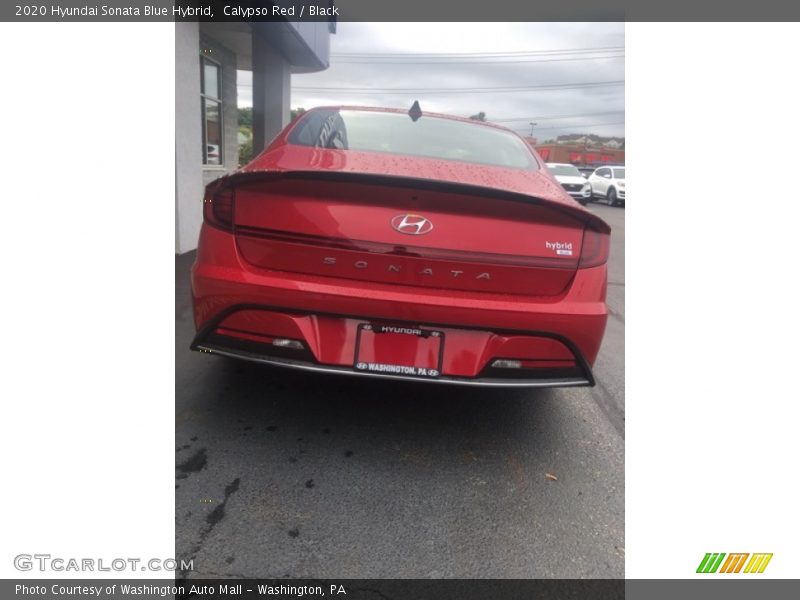 Calypso Red / Black 2020 Hyundai Sonata Blue Hybrid