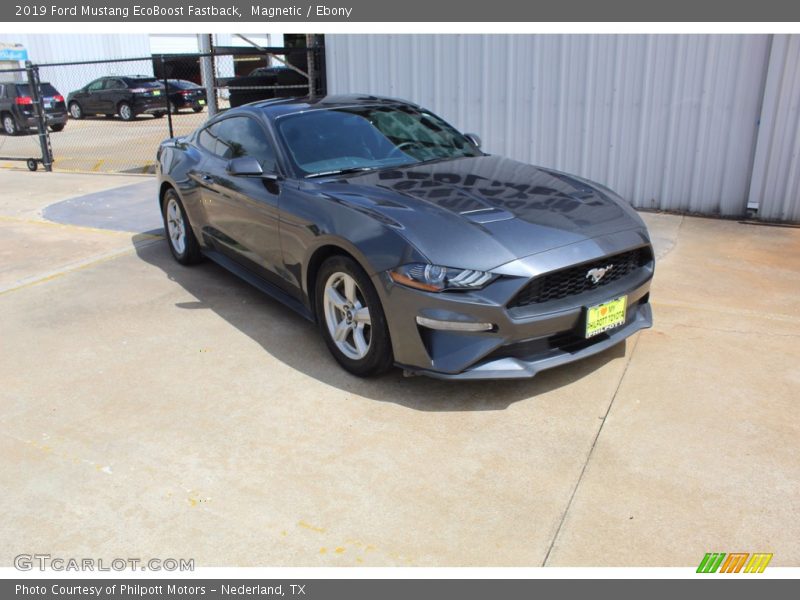 Magnetic / Ebony 2019 Ford Mustang EcoBoost Fastback