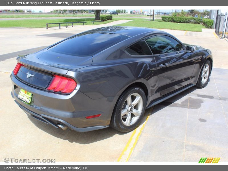 Magnetic / Ebony 2019 Ford Mustang EcoBoost Fastback