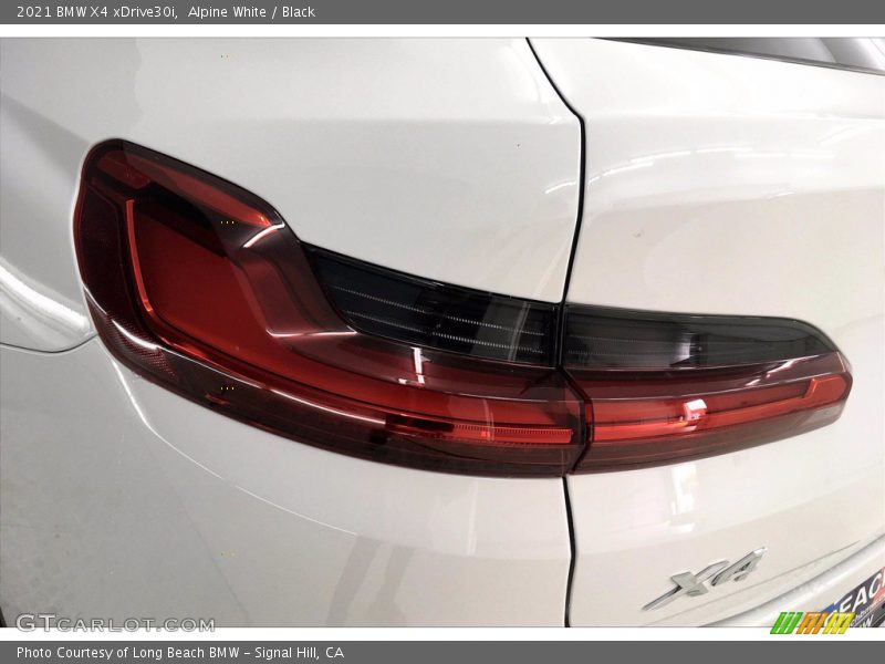 Alpine White / Black 2021 BMW X4 xDrive30i