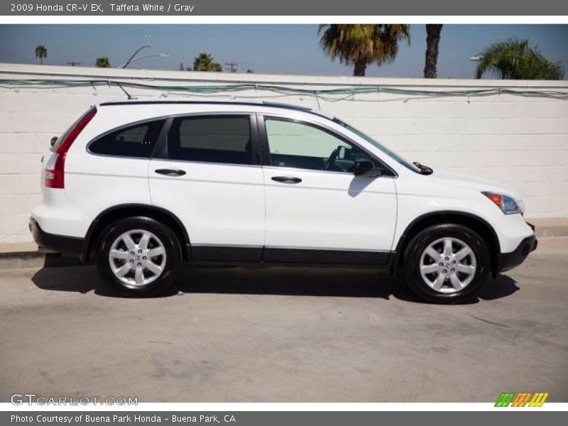 Taffeta White / Gray 2009 Honda CR-V EX
