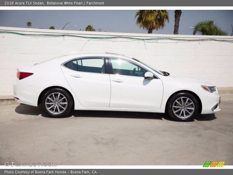 Bellanova White Pearl / Parchment 2018 Acura TLX Sedan
