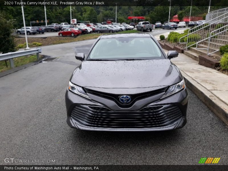 Predawn Gray Mica / Black 2020 Toyota Camry Hybrid XLE