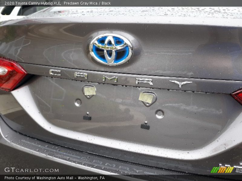 Predawn Gray Mica / Black 2020 Toyota Camry Hybrid XLE