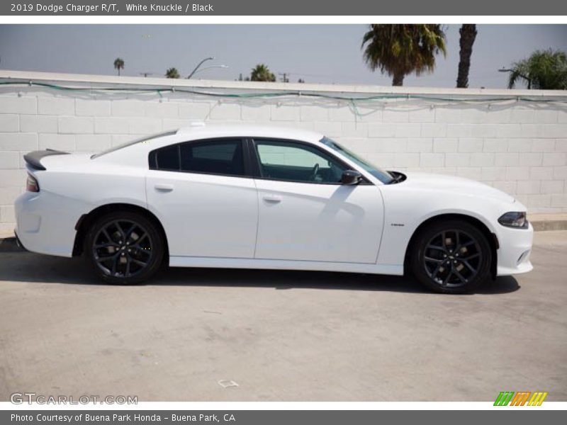 White Knuckle / Black 2019 Dodge Charger R/T