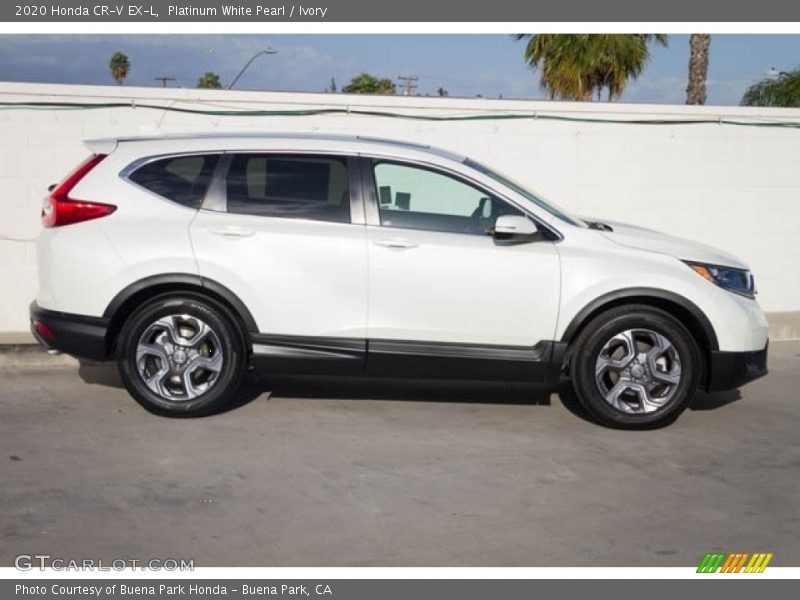 Platinum White Pearl / Ivory 2020 Honda CR-V EX-L