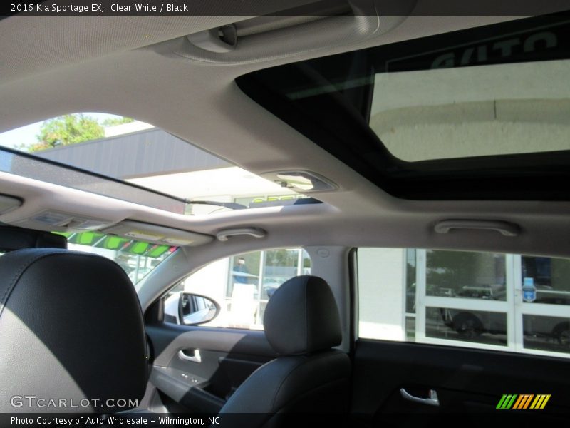 Clear White / Black 2016 Kia Sportage EX