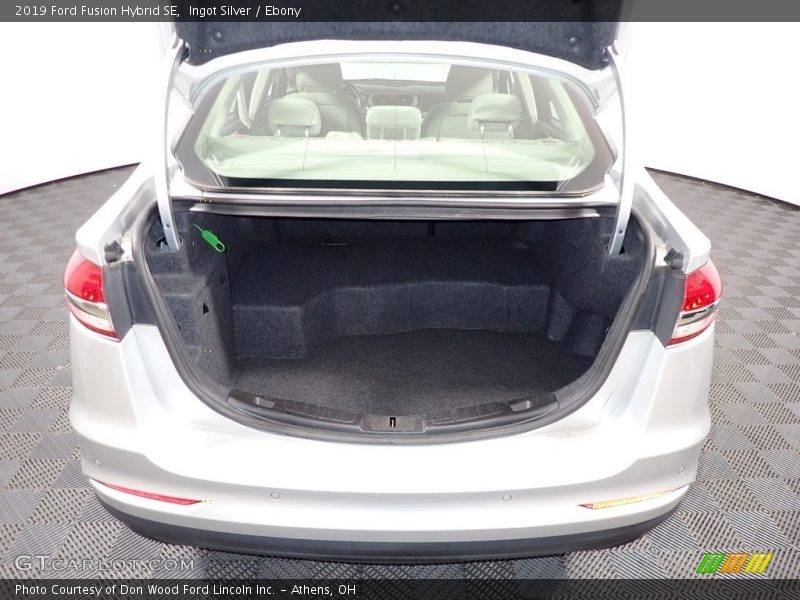 Ingot Silver / Ebony 2019 Ford Fusion Hybrid SE