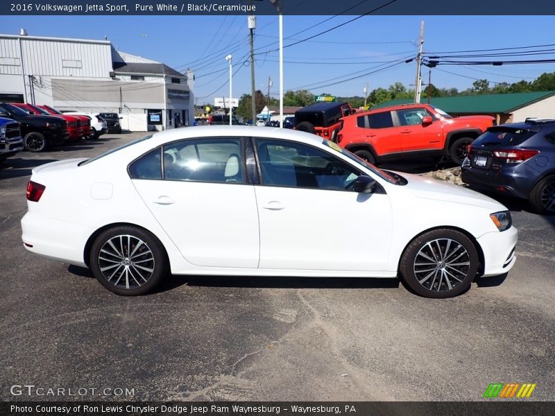  2016 Jetta Sport Pure White