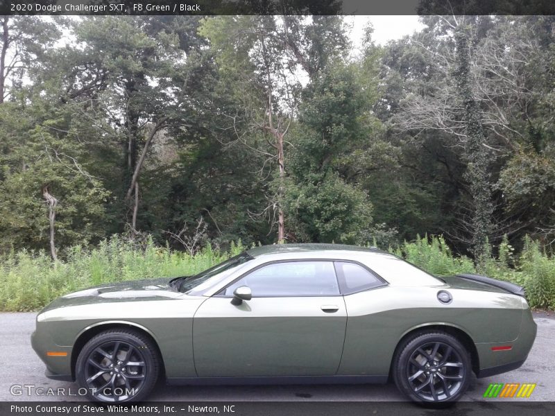 F8 Green / Black 2020 Dodge Challenger SXT