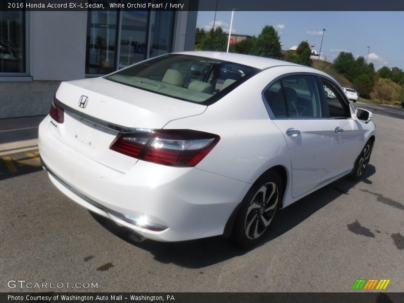 White Orchid Pearl / Ivory 2016 Honda Accord EX-L Sedan
