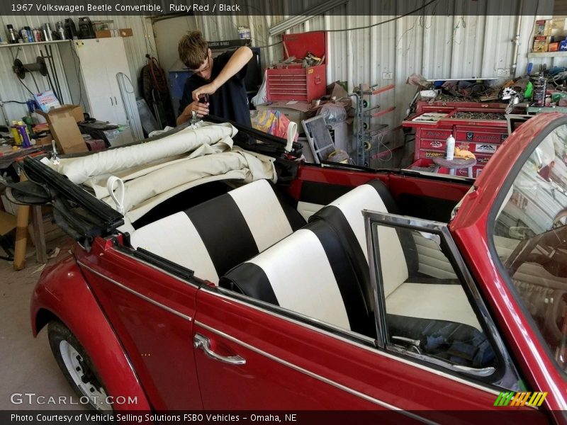 Ruby Red / Black 1967 Volkswagen Beetle Convertible