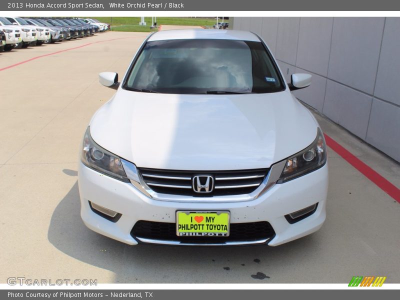 White Orchid Pearl / Black 2013 Honda Accord Sport Sedan