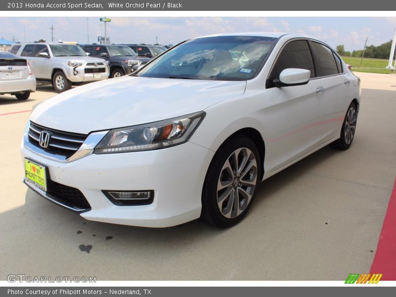 White Orchid Pearl / Black 2013 Honda Accord Sport Sedan