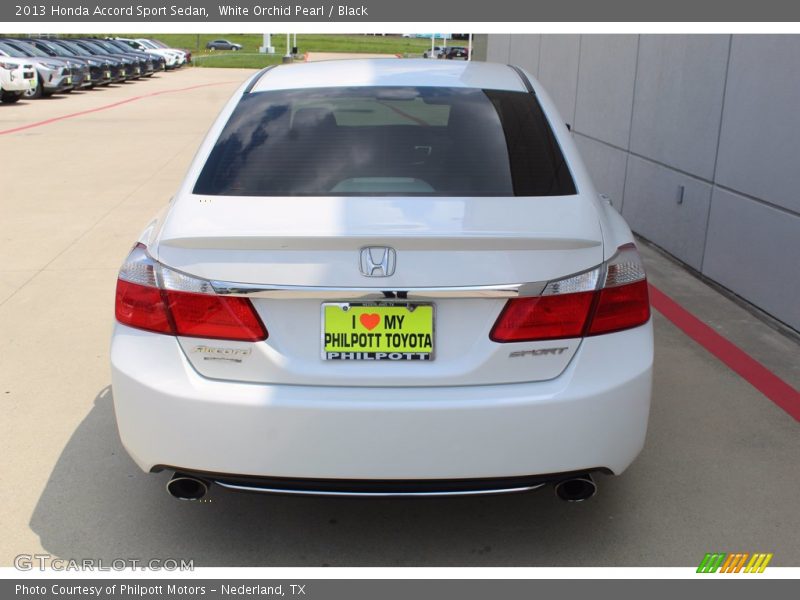 White Orchid Pearl / Black 2013 Honda Accord Sport Sedan