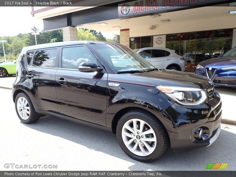 Shadow Black / Black 2017 Kia Soul +