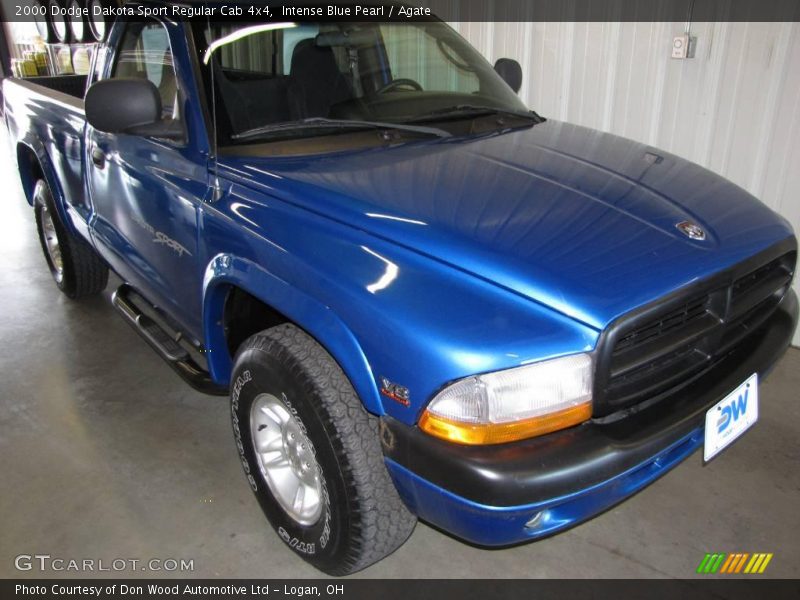 Intense Blue Pearl / Agate 2000 Dodge Dakota Sport Regular Cab 4x4