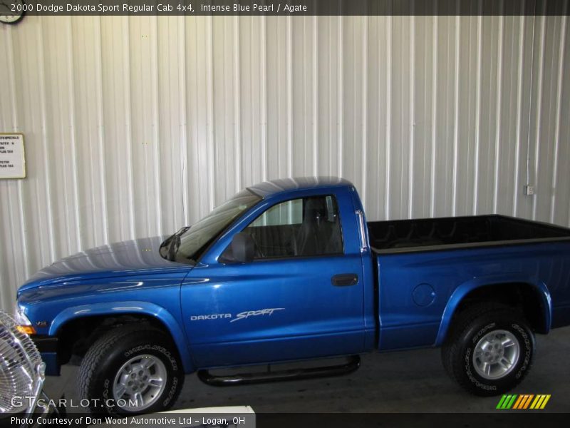 Intense Blue Pearl / Agate 2000 Dodge Dakota Sport Regular Cab 4x4