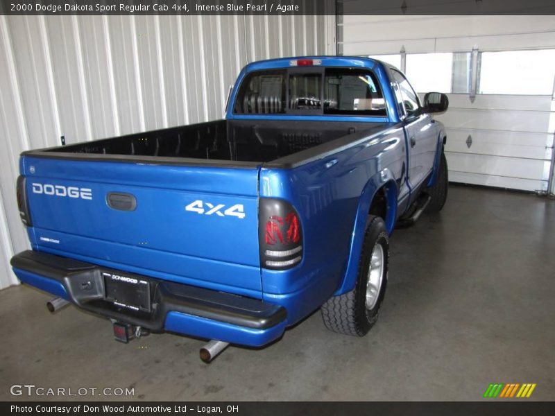 Intense Blue Pearl / Agate 2000 Dodge Dakota Sport Regular Cab 4x4