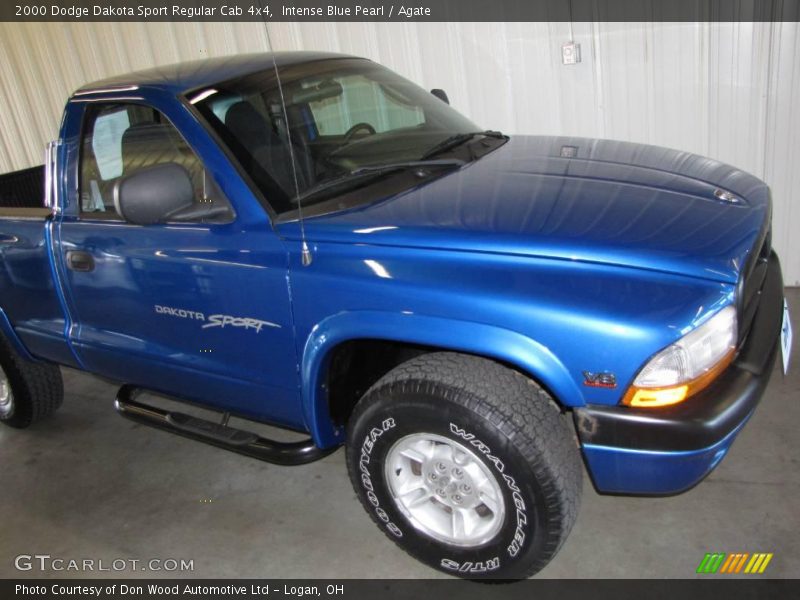 Intense Blue Pearl / Agate 2000 Dodge Dakota Sport Regular Cab 4x4