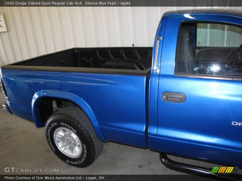 Intense Blue Pearl / Agate 2000 Dodge Dakota Sport Regular Cab 4x4