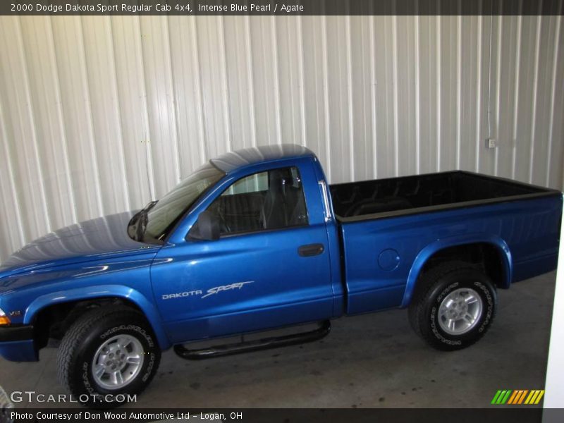 Intense Blue Pearl / Agate 2000 Dodge Dakota Sport Regular Cab 4x4