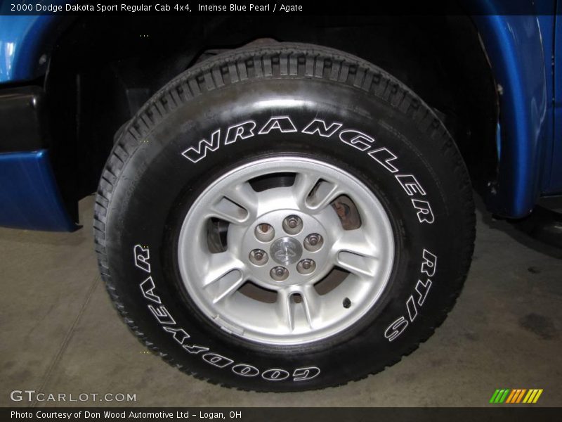 Intense Blue Pearl / Agate 2000 Dodge Dakota Sport Regular Cab 4x4