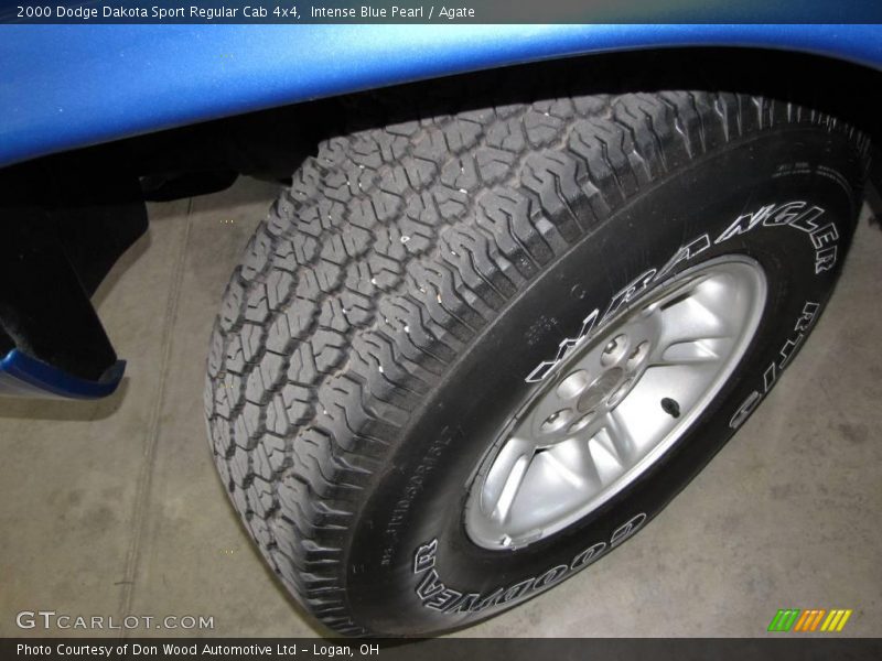 Intense Blue Pearl / Agate 2000 Dodge Dakota Sport Regular Cab 4x4