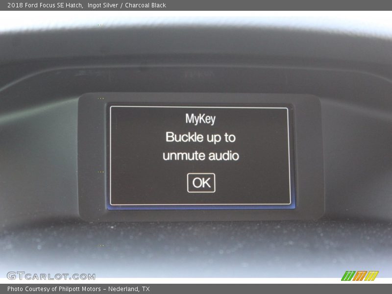 Ingot Silver / Charcoal Black 2018 Ford Focus SE Hatch