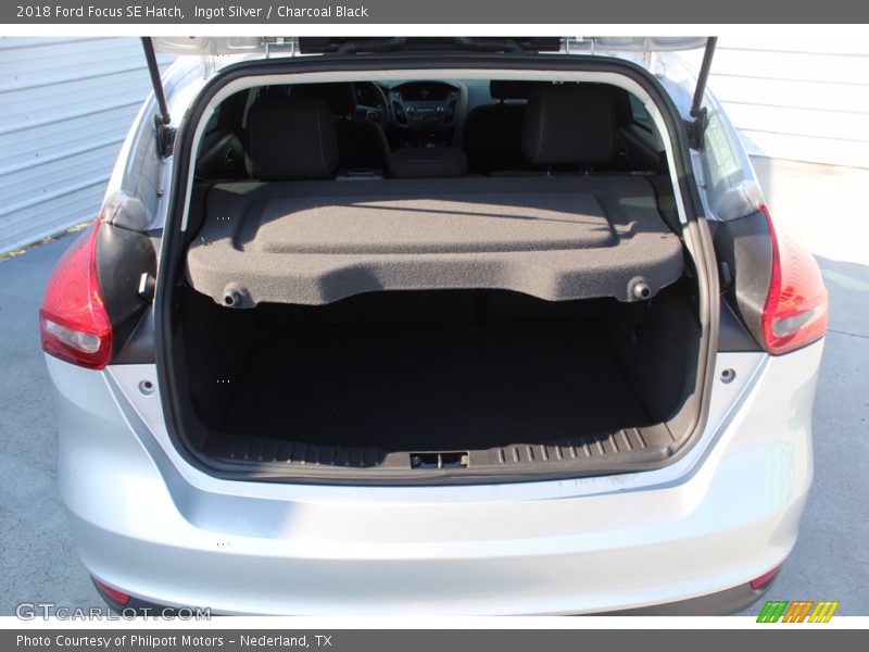 Ingot Silver / Charcoal Black 2018 Ford Focus SE Hatch
