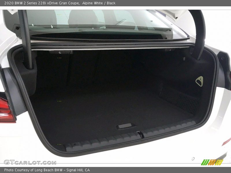 Alpine White / Black 2020 BMW 2 Series 228i xDrive Gran Coupe