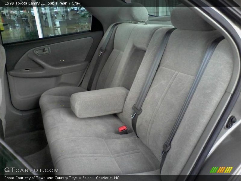 Sable Pearl / Gray 1999 Toyota Camry LE