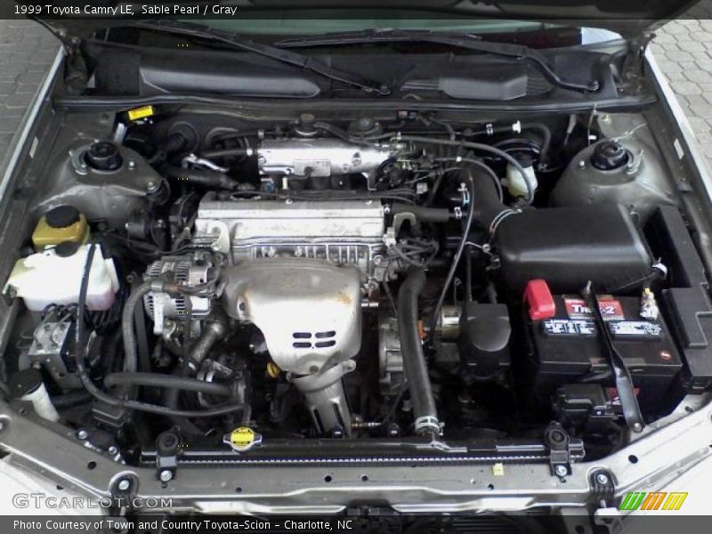 Sable Pearl / Gray 1999 Toyota Camry LE