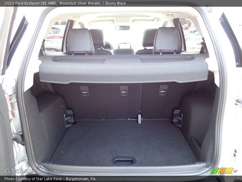 Moondust Silver Metallic / Ebony Black 2020 Ford EcoSport SES 4WD