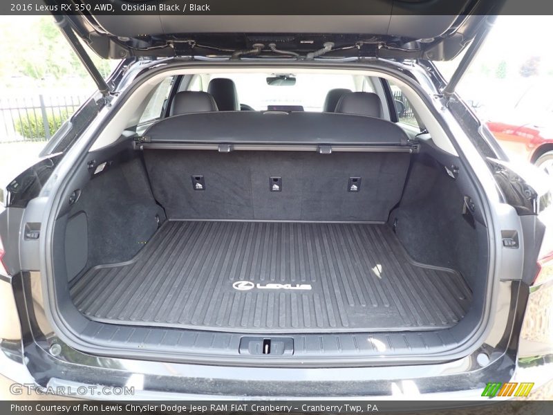  2016 RX 350 AWD Trunk