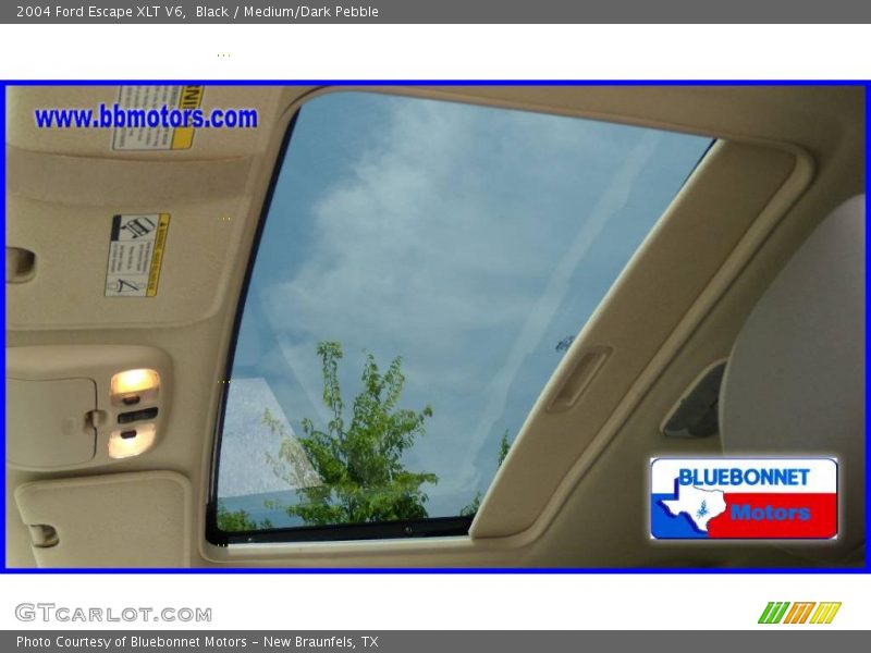 Black / Medium/Dark Pebble 2004 Ford Escape XLT V6