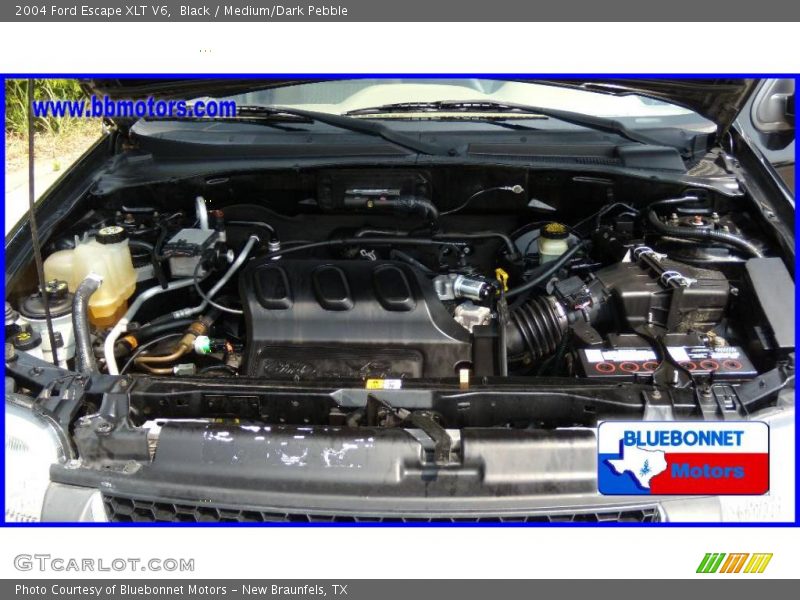 Black / Medium/Dark Pebble 2004 Ford Escape XLT V6