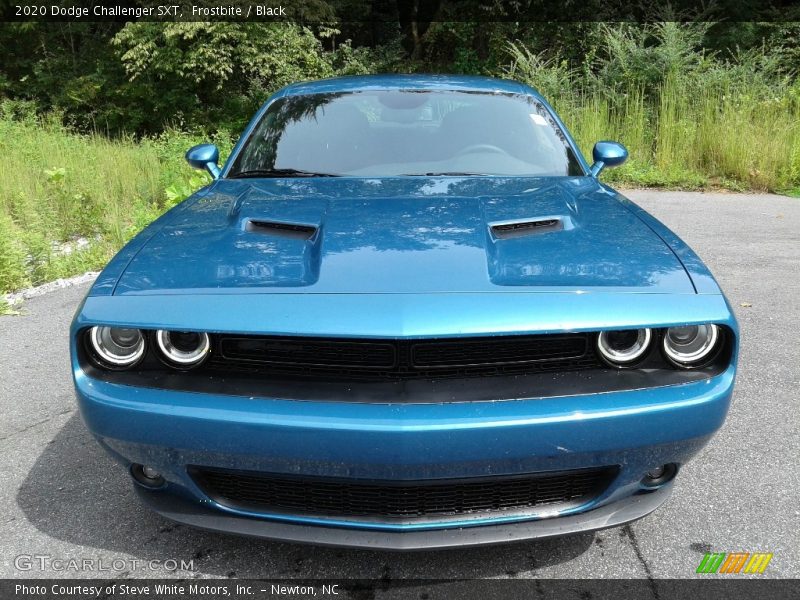 Frostbite / Black 2020 Dodge Challenger SXT