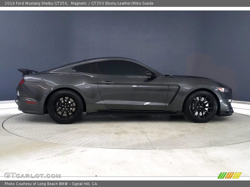  2019 Mustang Shelby GT350 Magnetic