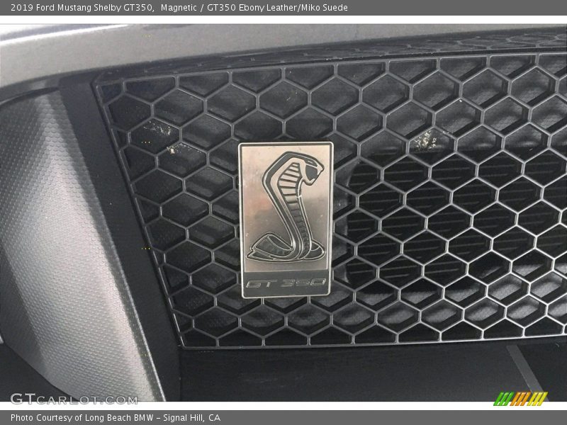  2019 Mustang Shelby GT350 Logo