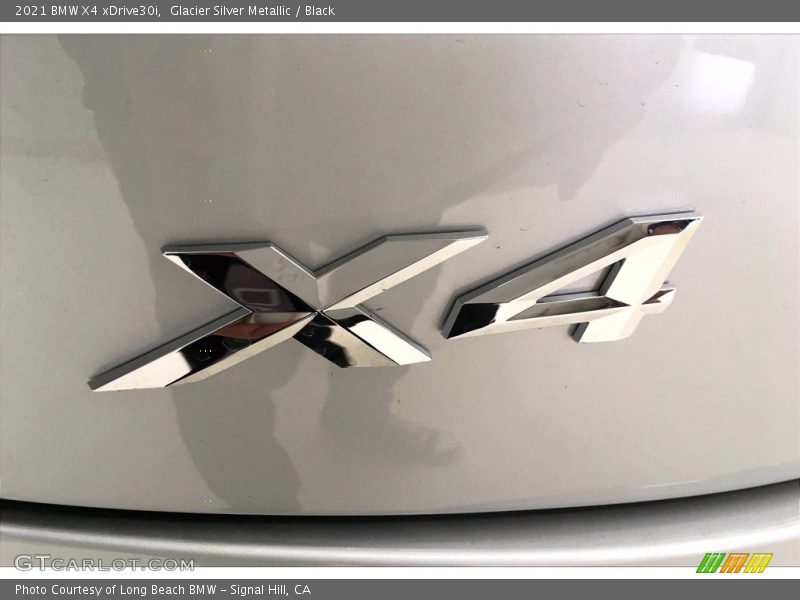 Glacier Silver Metallic / Black 2021 BMW X4 xDrive30i