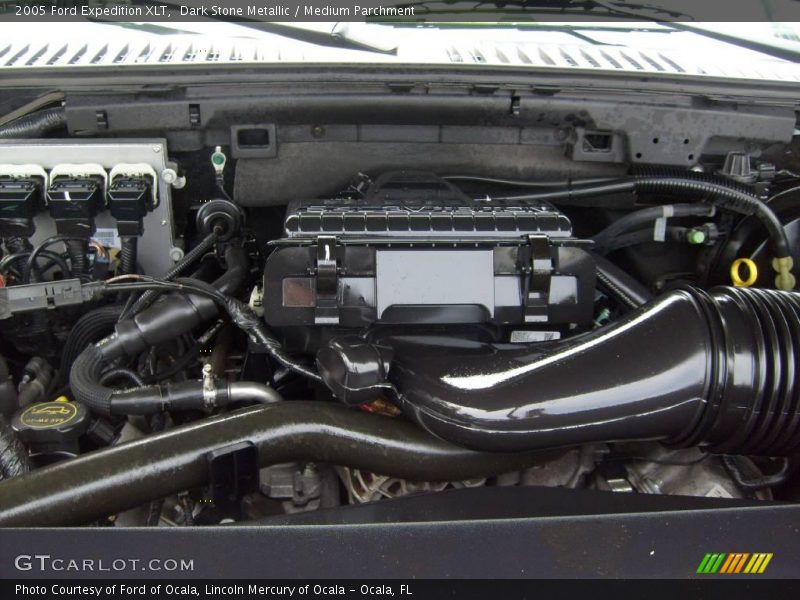 Dark Stone Metallic / Medium Parchment 2005 Ford Expedition XLT