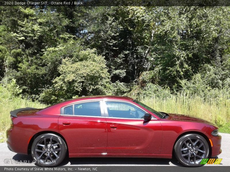  2020 Charger SXT Octane Red